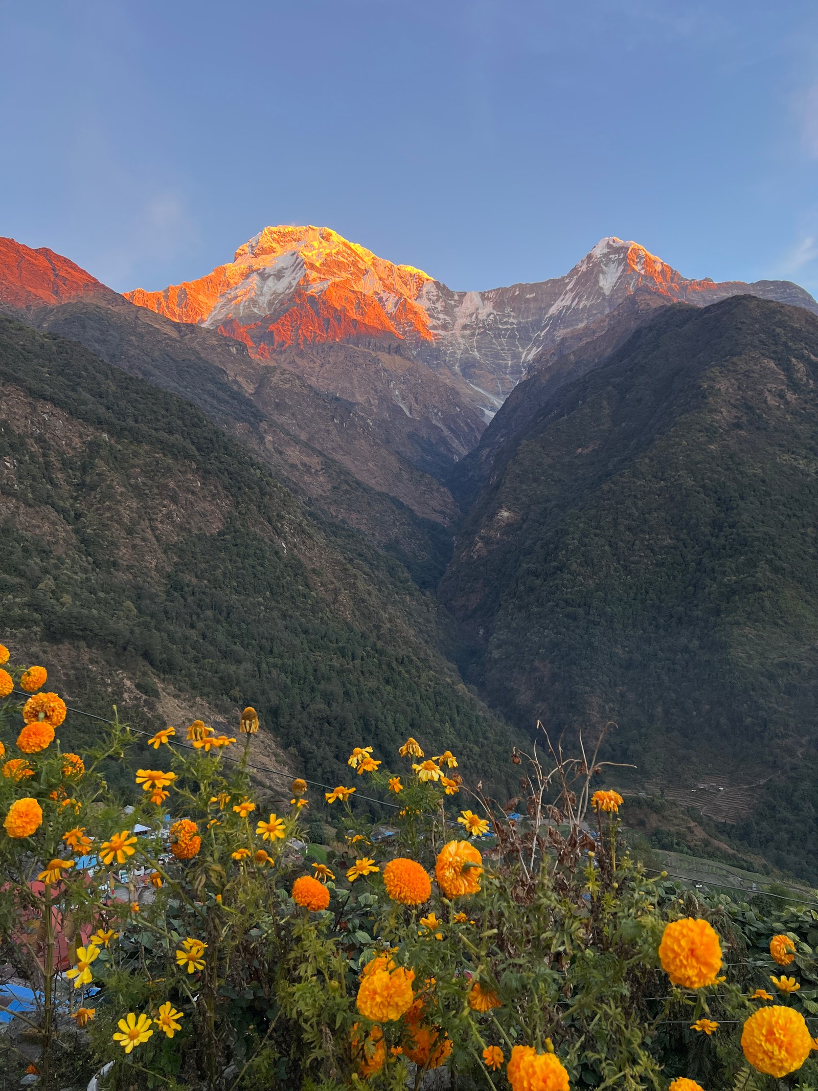 Classic Annapurna Base Camp Trek 7 Days photo 9